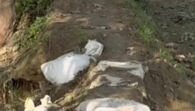 रामपुर: पहाड़ी गांव के जंगल में माइनर नहर खराब होने की वजह से नहरों का पानी सरसों और गेहूं में घुसा फसलें खराब #jansamasya