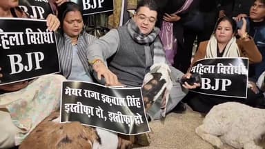 प्रीत विहार: आम आदमी पार्टी के पार्षदों ने भेड़-बकरी लेकर मेयर कार्यालय के बाहर दिया धरना, इस्तीफे की मांग रखी