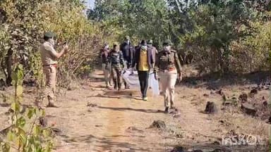 बिछिया: अंजनिया में सनसनी: आपसी संघर्ष नहीं, करंट से बाघिन का शिकार, वन विभाग की सुरक्षा पर सवाल