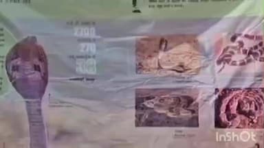 बिछिया: अनुभूति कैंप अंजनिया के 'अजगर दादर' में बच्चों ने प्रकृति और वन्यजीव संरक्षण के गुर सीखे