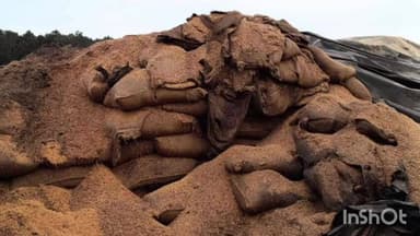 जगदलपुर: बारिश और बदइंतजामी से सड़ा करोड़ों का धान, नियानार धान संग्रहण केंद्र से एक साल बाद भी नहीं हुआ उठाव