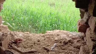 खजनी: ख़जनी कस्बे में स्थित शिव शक्ति मेडिकल स्टोर में अज्ञात चोरों ने काटी सेंध, खाली हाथ लौटे