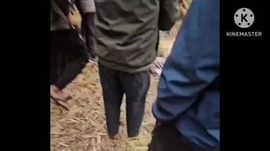 बगहा: बाघ के हमले में किशोरी की मौत