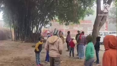 बगहा: बगहा में बंदरों का आतंक, एक दर्जन लोग घायल