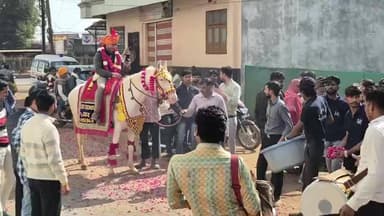 आगर: आगर में डॉ. संजय जामलिया के जन्मदिन पर अनोखा नज़ारा, ढोल-नगाड़ों के साथ घोड़ी पर बैठाकर निकाला भव्य जुलूस