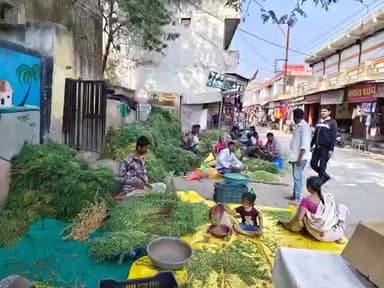 कसरावद: पुराने तहसील परिसर के सामने बिक रहा देशी चना, शौकीनों की पसंद बना, बढ़ी डिमांड