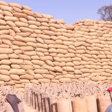 🌾 सूरजपुर में धान खरीदी में नया रिकॉर्ड 💪
कलेक्टर श्री एस. जयवर्धन के कुशल नेतृत्व में किसान हितैषी और पारदर्शी धान खरीद...