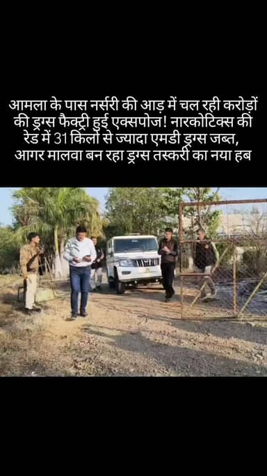 आमला के पास नर्सरी की आड़ में चल रही करोड़ों की ड्रग्स फैक्ट्री हुई एक्सपोज! नारकोटिक्स की रेड में 31 किलो से ज्यादा एमड...