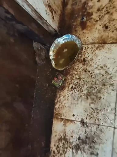 #सबलगढ़ अस्पताल में हुआ फिर से #विवाद खुल गई बड़ी-बड़ी पोल हो गया #खुलासा ? 🤨🤔 देखिए पूरी जानकारी विथ #प्रूफ के साथ Coll...