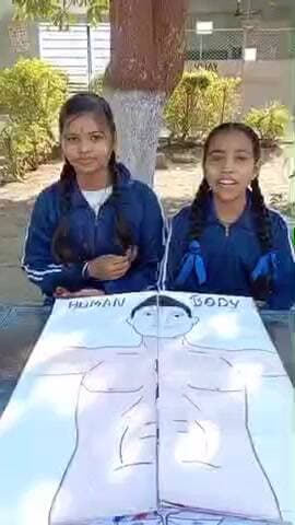 कसरावद: विज्ञान प्रदर्शनी में छात्रों ने उकेरी कला, विज्ञान मॉडल बने आकर्षण, व्यंकट विद्या विहार हाई स्कूल, गोपालपुरा