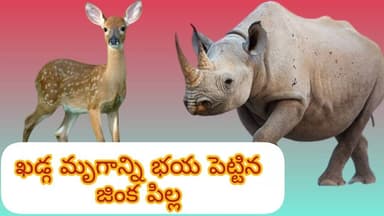 ఖడ్గ మృగాన్ని భయ పెట్టిన జింక పిల్ల