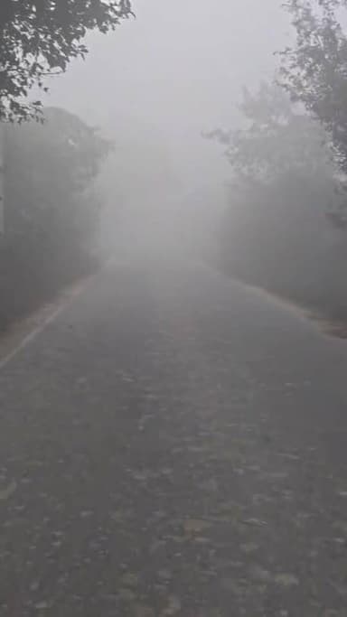 मऊ में घना कोहरा छाया
#MAU #maunews #weather