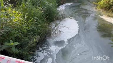 കോഴിക്കോട്: തോട്ടുമുക്കം ചെറുപുഴയിൽ രാസമാലിന്യം ഒഴുക്കി, കക്കൂസ് മാലിന്യമെന്ന് സംശയം, പരാതി നൽകി നാട്ടുകാർ