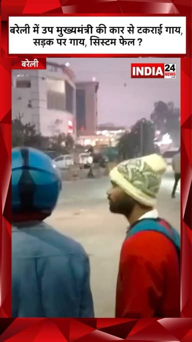 बरेली में उप मुख्यमंत्री की कार से टकराई गाय, सड़क पर गाय, सिस्टम फेल ? #bareillynews #bareilly #bareillycity #viralnews