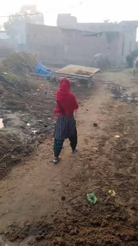 यह नगरिया खानू। का। यह सड़क यहां पर पड़ी रही है नकली गई इसका बिल भी आ गया है पर डलवाना ही नहीं है