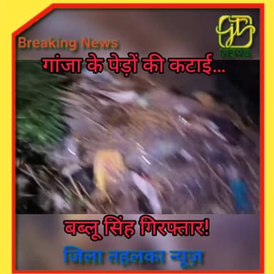 #नवादा उत्पाद विभाग की एक और बड़ी कार्रवाई!
सीतामढ़ी थाना क्षेत्र के शहबाजपुर सराय में आज टीम ने गांजा की अवैध खेती पर त...