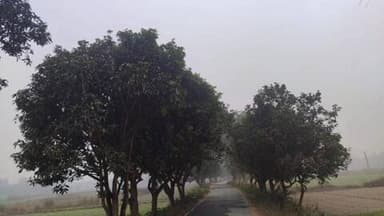 पंडौल: कड़ाके की ठंड से जनजीवन अस्त-व्यस्त