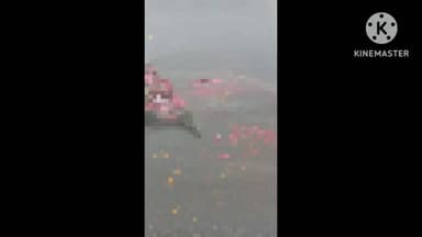 मैरवा: लक्ष्मीपुर ओवर ब्रिज के पास बालू लदे ट्रक ने बाइक सवार को कुचला, शव क्षत-विक्षत