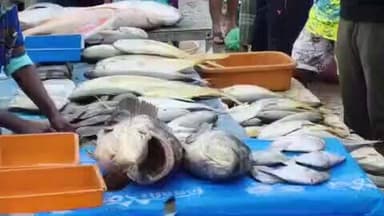 கடலூர்: முது நகரில் வஞ்சரம் மீன் கிலோ 1,100க்கு விற்பனை