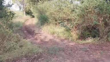 रावेर: वडगाव शेत शिवारातून मनोहर पाटील यांच्या शेतातून जनरेटर झाले चोरी, निंभोरा पोलीस ठाण्यात गुन्हा दाखल