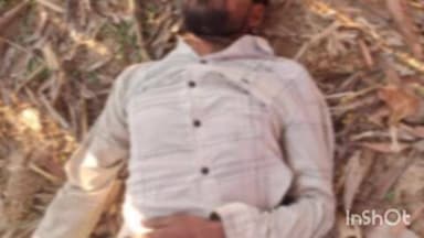 जैतपुर: कोशवाही के टेंघा गांव में खेत में पेड़ पर फांसी से युवक का शव मिला, पुलिस जांच में जुटी