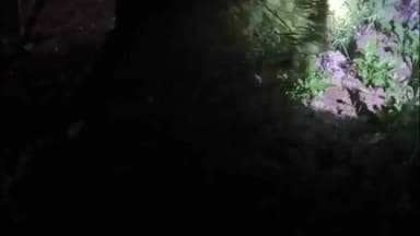 मेसकौर: शाहबाजपुर सराय में उत्पाद विभाग की बड़ी कार्रवाई, अवैध गांजा की खेती को किया नष्ट, एक व्यक्ति गिरफ्तार