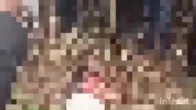 निघासन: निघासन के महराज नगर में मवेशियों के लिए चारा लेने गई महिला को बाघ ने मुंह में दबोचकर उठा ले जाकर मौत के घाट उतारा