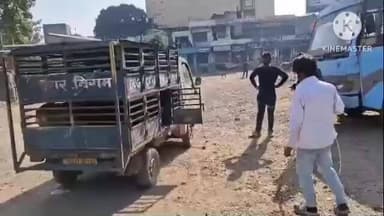 आदित्यपुर गम्हरिया: AMC की आवारा कुत्ते पकड़ने वाली गाड़ी से गम्हरिया के दुर्गा पूजा मैदान में कुत्तों को छोड़ा, स्थानीय लोगों ने किया विरोध