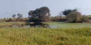 बागपत: ग्राम जवाहरपुर मेवला के ग्रामीणों ने डीएम से तालाब की सफाई, खुदाई एवं सौंदर्यकरण की मांग की