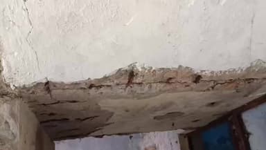 धमतरी: अटल आवास के लोगों ने कहा, नेता सिर्फ वोटिंग के समय आते हैं, उनकी दहशत भरी जिंदगी में हर पल मंडरा रही मौत