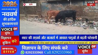 शहर की सड़कों पर आवारा पशुओं पर सख्ती, नगर निगम का विशेष अभियान | Munger News