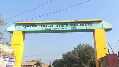 बड़वानी: बड़वानी मंडी में सौंफ की आवक बढ़ने से किसान नाराज़, कम भाव और गुणवत्ता पर उठाए सवाल