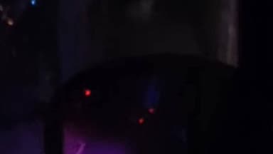 बुरहानपुर नगर: नेपानगर-असीरगढ़ मार्ग पर दिखा बाघ, सोशल मीडिया पर वीडियो वायरल