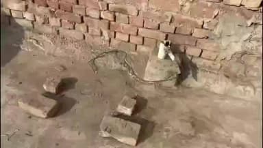 ਫਾਜ਼ਿਲਕਾ: ਦਾਣਾ ਮੰਡੀ ਵਿਖੇ ਦੁਕਾਨ ਦੀ ਛੱਤ ਤੇ ਲੱਗਿਆ ਏਸੀ ਦਾ ਆਊਟਡੋਰ ਚੋਰੀ