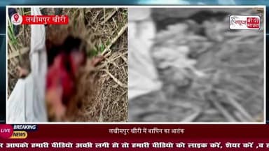 लखीमपुर खीरी में महिला को दबोच ले गई बाघिन, खेत में मिला अधखाया शव, ग्रामीणों में दहशत का माहौल
#LakhimpurKheri