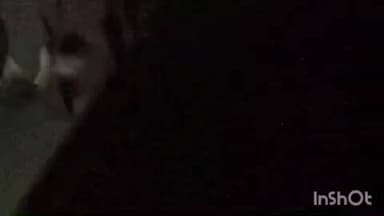 ଜୁଜୁମୁରା: ଖଇରମାଲ ଗ୍ରାମରେ ହାତୀ ଉପଦ୍ରବ , ଅମଳ ଧନ ଖାଇଲା ହାତୀ