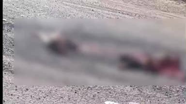 ગોધરા: મોટી કાંટડી પેટે ધામણી ગામે ટ્રકની અડફેટે પડકાયેલા બાઈકચાલક યુવાનનું ઘટનાસ્થળે જ પ્રાણપંખેરુ ઉડી ગયું હતું