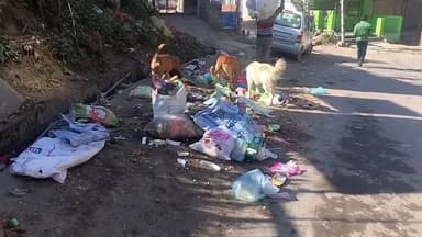 सोलन: देवघाट में गंदगी का आलम, समय पर कूड़ा न उठने से लोग परेशान