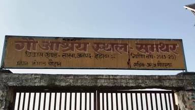 ताखा: ताखा ब्लॉक के समथर गौशाला में 1 गाय की मौत, 4 गाय मरणासन्न, व्यवस्था पर सवाल, अधिकारियों की लापरवाही उजागर
