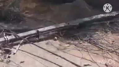 कोरबा: कोरबा में ट्रेलर ने 21 बिजली खंभे तोड़े, ग्रामीणों ने ड्राइवर को पकड़कर पुलिस के हवाले किया, 3 गांवों में छाया अंधेरा