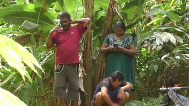 ഉടുമ്പൻചോല: രാജാക്കാട് ശുദ്ധജല മത്സ്യകൃഷി നടത്തിയിരുന്ന കുളത്തിൽ നിന്ന് വിളവെടുപ്പിന് പാകമായ മത്സ്യങ്ങളെ അജ്ഞാതർ മോഷ്ടിച്ചതായി പരാതി