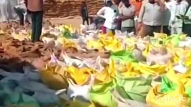 कोसीर उपार्जन केंद्र में खराब धान पर बड़ी कार्रवाई, 110 क्विंटल से अधिक धान किया गया जब्त