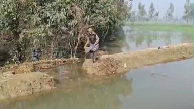 सहावर: बनूपुरा बंबी में खंदी कटने से खेतों में भरा पानी, 30 बीघा गेहूं की फसल जलमग्न, किसानों में रोष