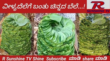Vilyadele Betel leaf demand in Channapatna Market