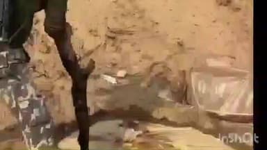 अरवल: सोन तटीय इलाके में नगर थाने की पुलिस द्वारा देशी शराब के विरुद्ध विशेष छापेमारी