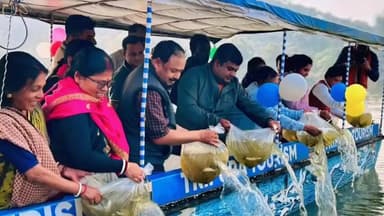 উদয়পুর: মহারানী ঐতিহ্যবাহী ৩দিনব্যাপী মহারানী জল উৎসব উপলক্ষে আজ মেলার দ্বিতীয় দিনে গোমতী নদীতে মাছের পোনা ছাড়া অনুষ্ঠানে MLA