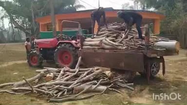 ଚମ୍ପୁଆ: ଯାମୁଦଲକ ଗାଁ ରେ ବେଆଇନ କଟା ଗଛ କୁ ଜବତ କଲା ବନ ବିଭାଗ ମାତ୍ର କାର୍ଯ୍ୟନୁଷ୍ଠାନ ଶୂନ ଯାହାକୁ ନେଇ ତେଜୁଛି ଅସନ୍ତୋଷ