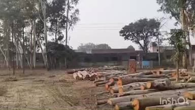 दातागंज: दातागंज ब्लॉक परिसर में ऑडिटोरियम निर्माण कार्य के लिए पेड़ों का कटान शुरू