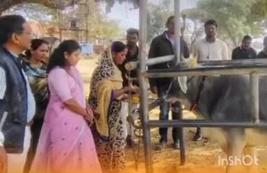 सालेकसा: मक्काटोला येथे पशु आरोग्य शिबिराचे सभापती चंद्रिकापूरे यांच्या हस्ते उद्घाटन