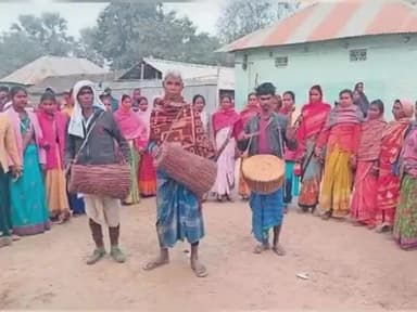 सरिया: सरिया के कई आदिवासी इलाकों में सोहराय पर्व धूमधाम से मनाया गया